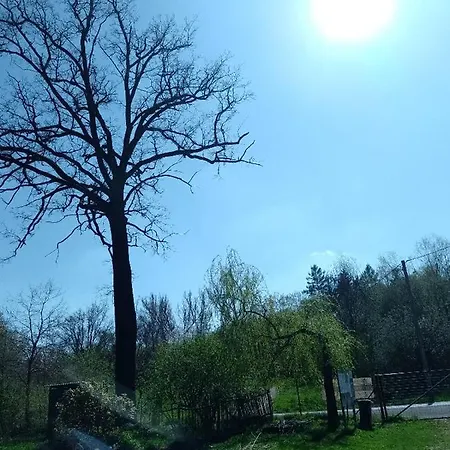 Litohlavy 17 - Na Samote U Lesa Králŭv Dvŭr