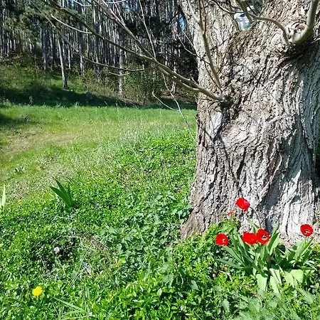 Litohlavy 17 - Na Samotě U Lesa