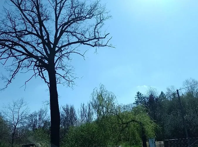 Litohlavy 17 - Na Samote U Lesa Králŭv Dvŭr